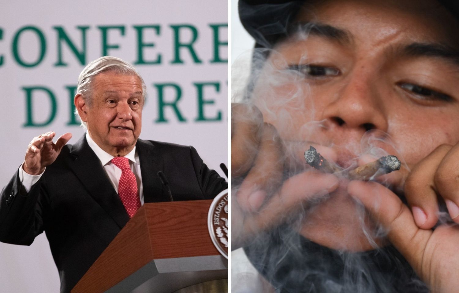 El presidente Andrés Manuel López Obrador aprobó el fallo de la Suprema Corte de Justicia de la Nación (SCJN) sobre la regulación de la marihuana para uso lúdico.