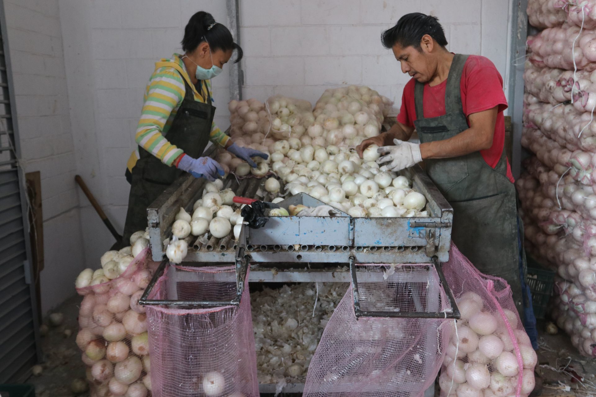 Cebollas cultivadas en México, al parecer, ocasionaron un brote de salmonelosis en Estados.