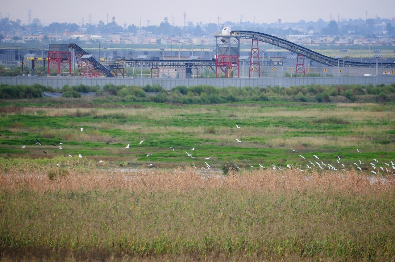 El proyecto ambiental del Lago de Texcoco lleva un avance de casi el 25 por ciento, y podría concluirse en 2023. 